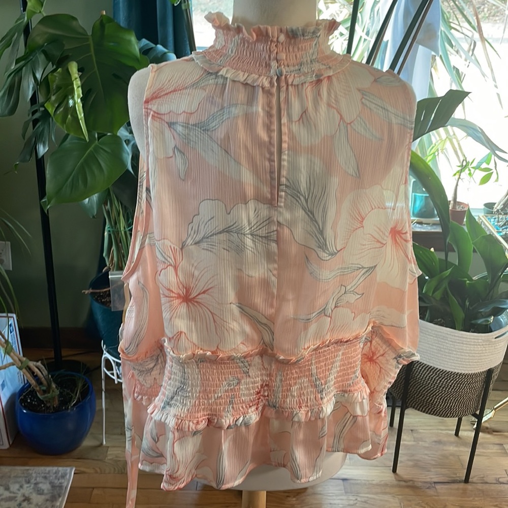 RyeGrass 3XL pink sheer peplum blouse with soft floral print and synch waist - Picture 6 of 13